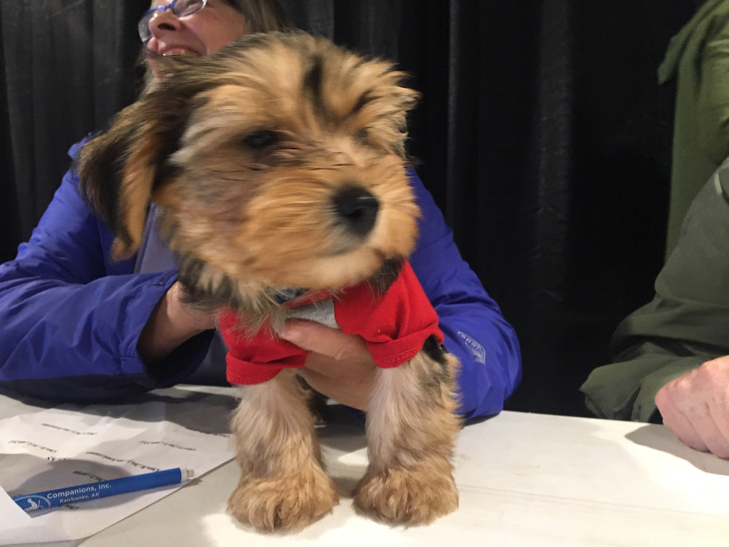 Dog costume contest Fair 2019